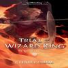 Trial of the Wizard King The Wizard King Trilogy Book Two... 9781506716282