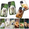 Phone Cover Pet Pomeranian Dog Casing for Samsung Galaxy S25 S24 S22 S23 FE Ultra Plus A56 A05 A06 A15 A16 A55 S7 Edge Case