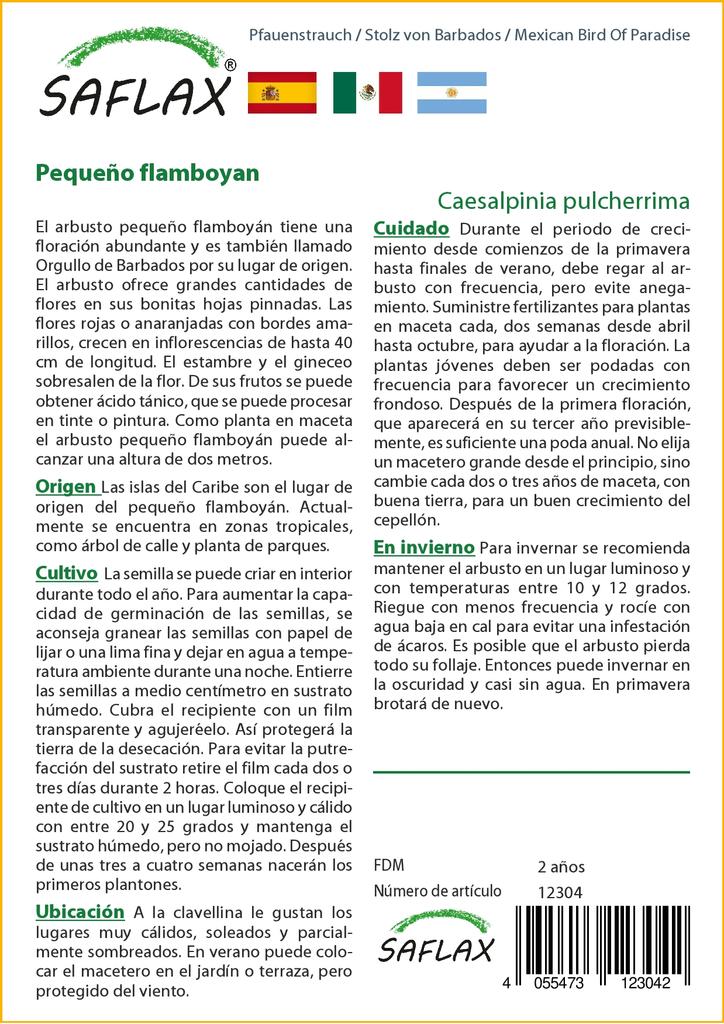 SAFLAX Mexican Bird Of Paradise - 10 Seeds - Caesalpinia Pulcherrima