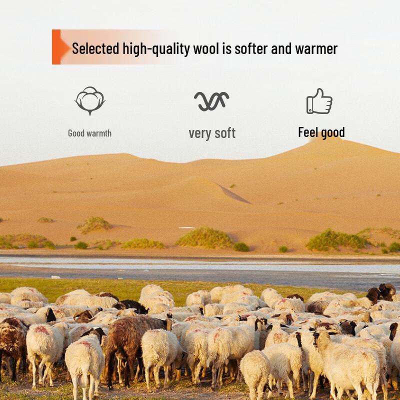 Caizi Men's Solid Round Neck Pullover Sweater