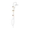 Alanis White Gold Shower Column