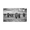 Animali moderni Poster e stampe Wall Art Canvas Painting Elefanti africani Immagini di mandrie per soggiorno Cuadros Decor Senza cornice
