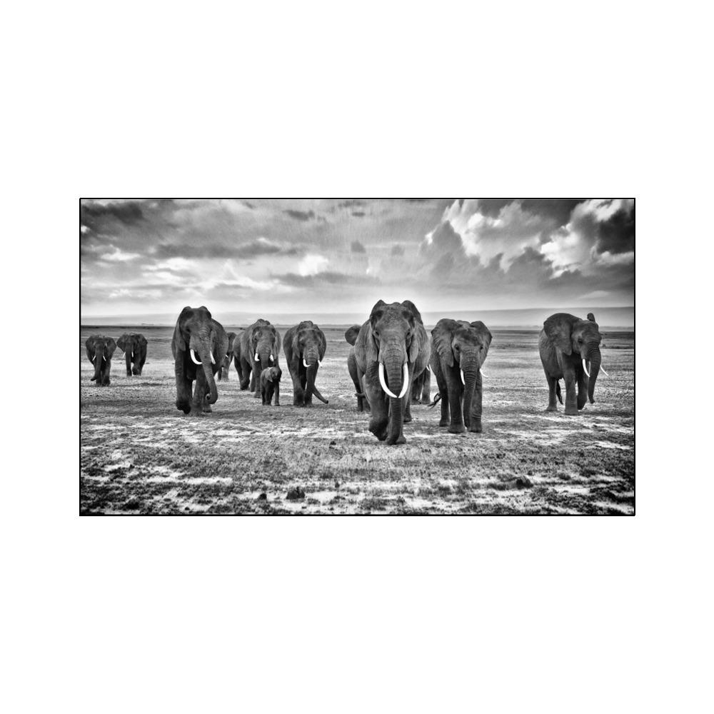 Animali moderni Poster e stampe Wall Art Canvas Painting Elefanti africani Immagini di mandrie per soggiorno Cuadros Decor Senza cornice