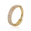 G23 Titanium Piercing Hinged Segment Hoops CZ Stone Nose Rings Clicker Ear Cartilage Tragus Helix Earrings Piercing Body Jewelry