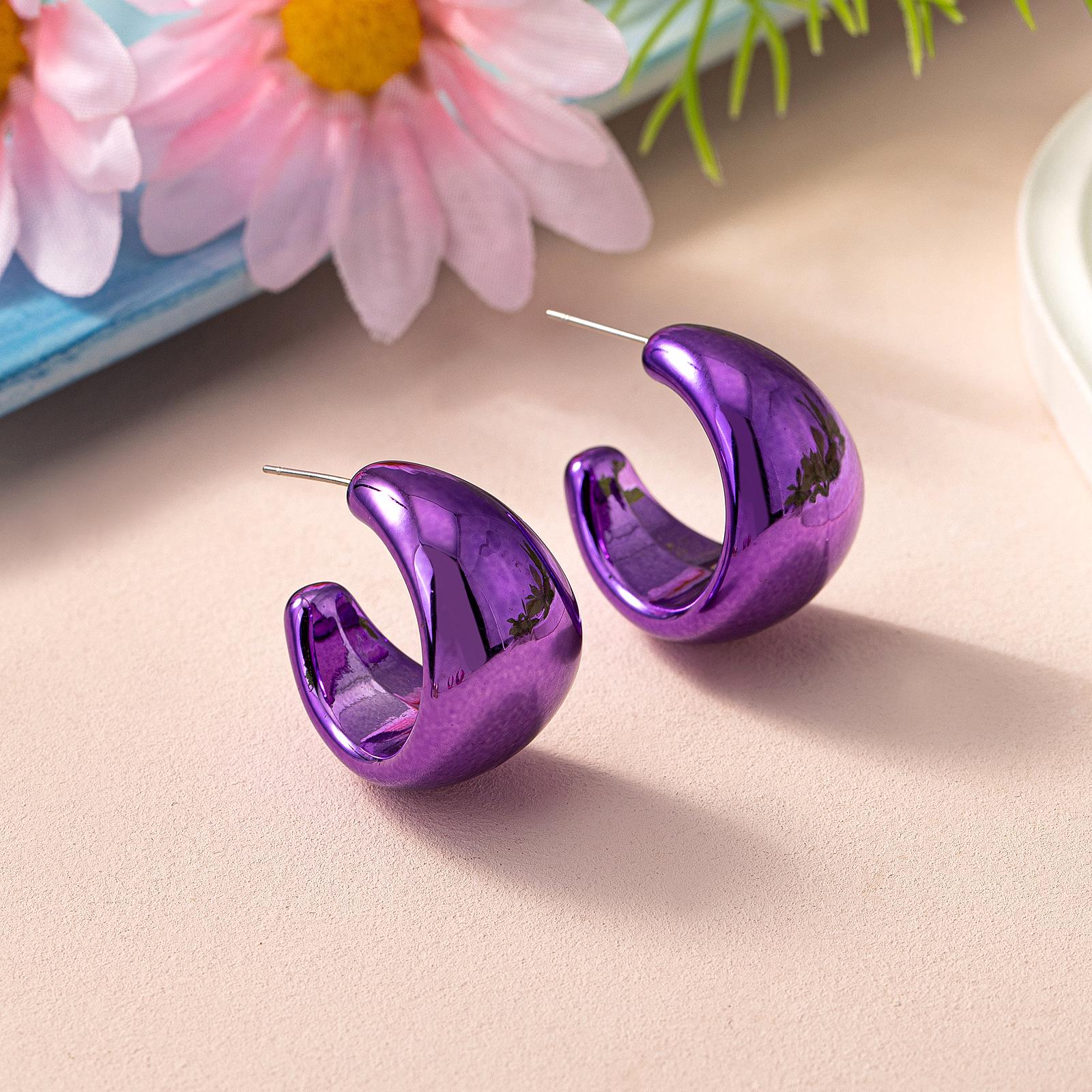 

Красочные серьги-пусеты U-образной формы - Простой, универсальный модный подарок для нее фиолетовый