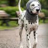 Adjustable Pet Ear Muffs Hearing Protection Dog Transparent Eye Mask Pet Hat  Small Medium Dogs