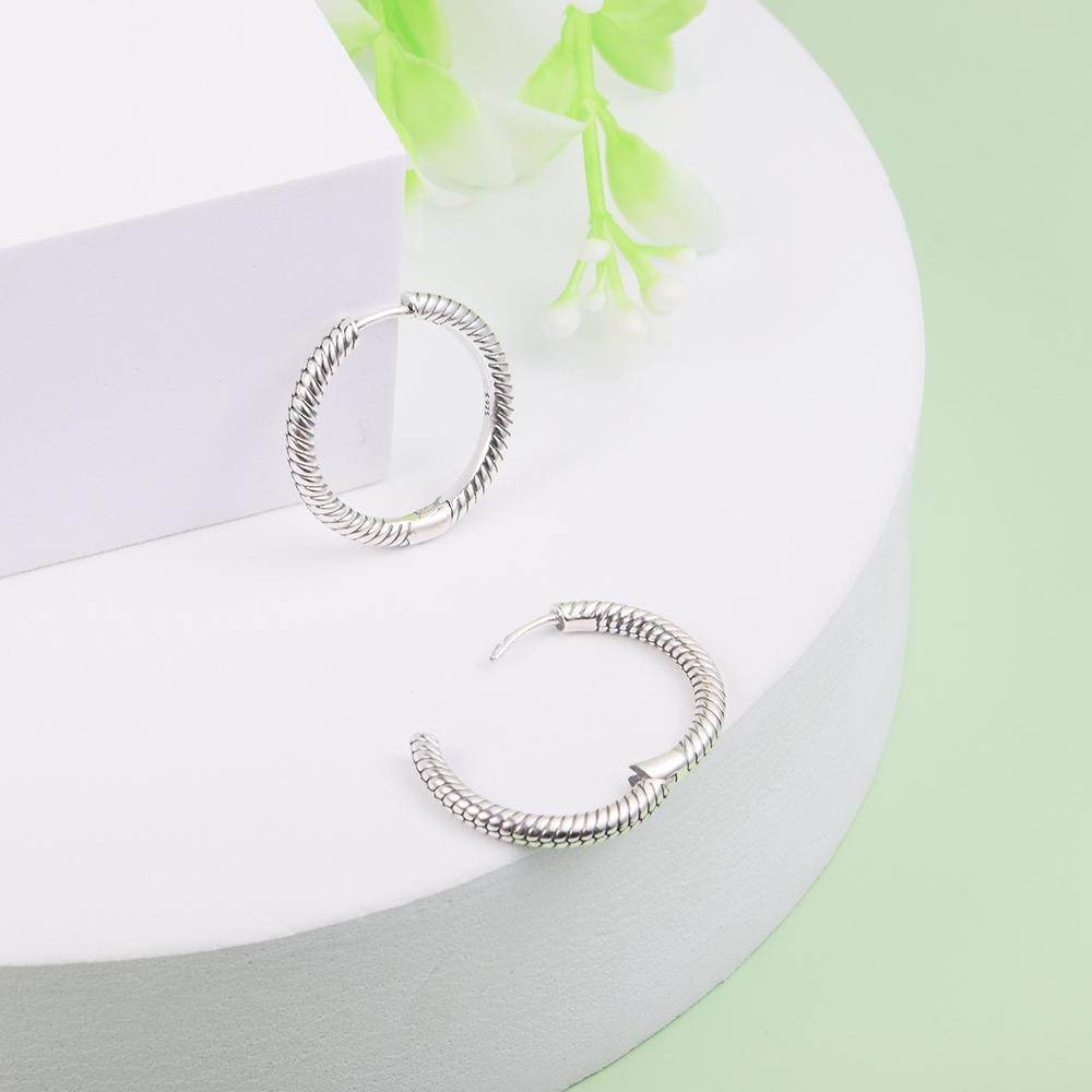Hoop Earrings 925 Sterling Silver Wedding Earings for Women Jewelry Ear