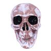 10,000 Halloween ghost festival decoration horror funny spoof trick trick prop plastic skull ornament