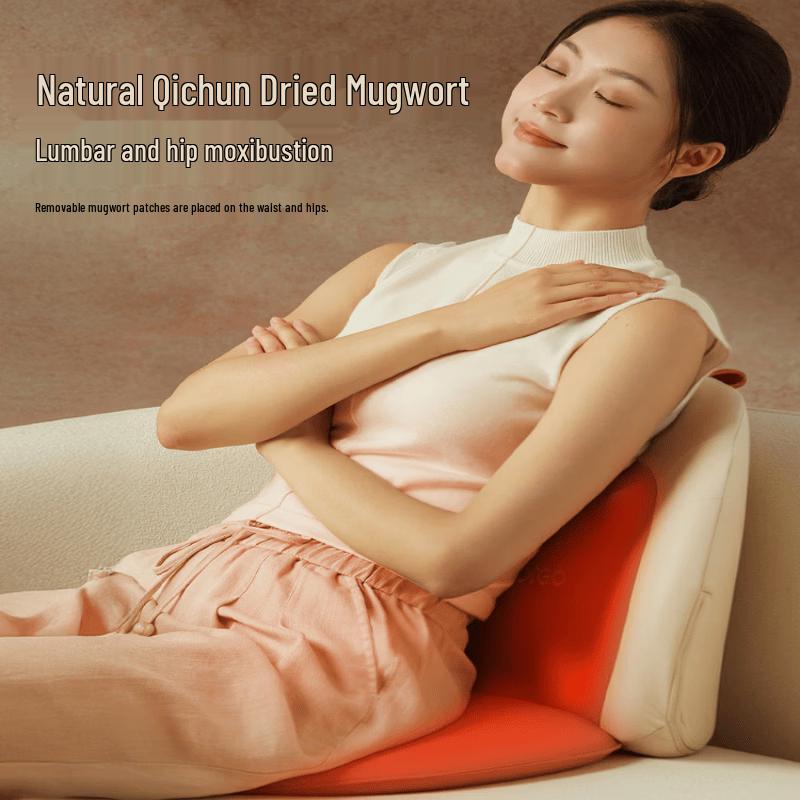 Breo Back2pro Waist and Back Massager Cushion CN plug (adapter included)