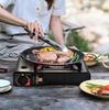 Gas Camping Stove In a Gas Suitcase