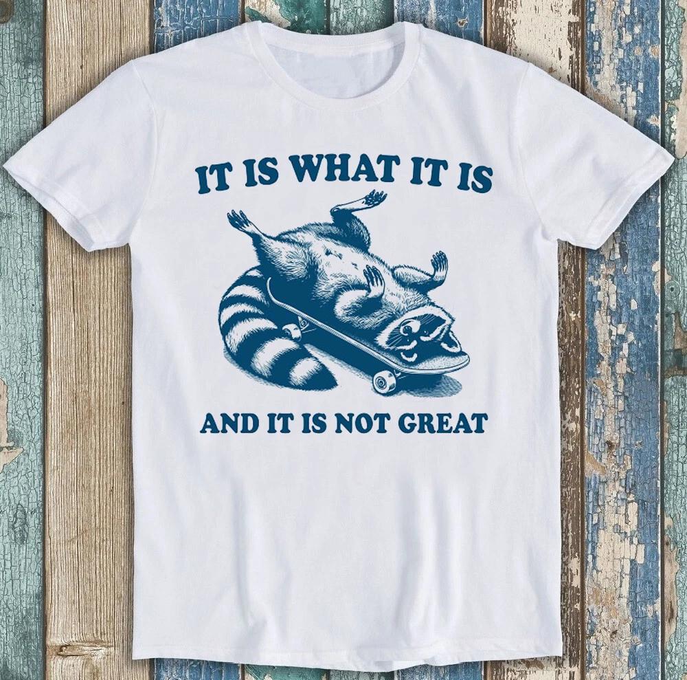 It is What It is and It s Not Great Raccoon Funny Gift Tee T Shirt 1782 XXXXL