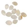 24pcs Natural Shell Charm Beads For Pendant Earing Bracelet Making Supplies