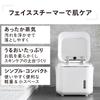 TWINBIRD Compact Ion Steamer with Mirror, Pore Care, Tap Water Compatible, White SH-2786W