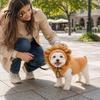 Soft Polyester Dog Pullover Lion Mane Costume, Costume Fleece Sweater Set, Adjustable Chin Small Cord, 3D Ears Hood, Halloween Cosplay for Pug Pitbull