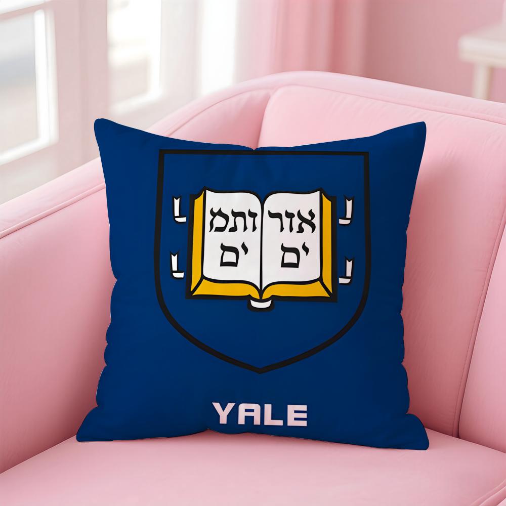 Academic Global Theme Art BBacktoschool Season Cushion Cover Pillowcase Short Plush Invisible Zipper Room Sofa Cushion Cover