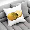 Seal Sea Cute Funny Throw Pillow Case For 50x50cm 40x40cm 55x55cm 45x45cm 30x30cm Square Bedroom Pillowcase Cover