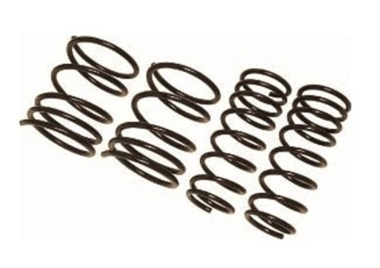 

RACING GEAR Пружины занижения Low Form Revolution SS020A для Palette MK21S