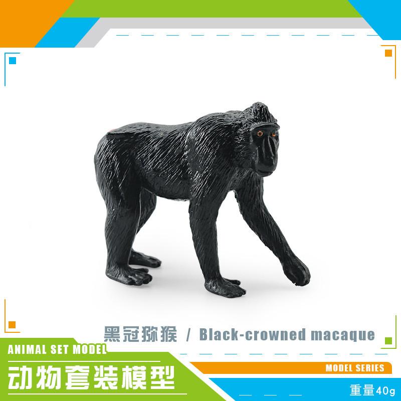 Lifelike African Lion Ferret And More Animal Figurines For Kids And Collectors