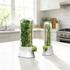 Refrigerator Herb Storage Box Upright Cilantro Storage Container Parsley Preservation Box Keeps