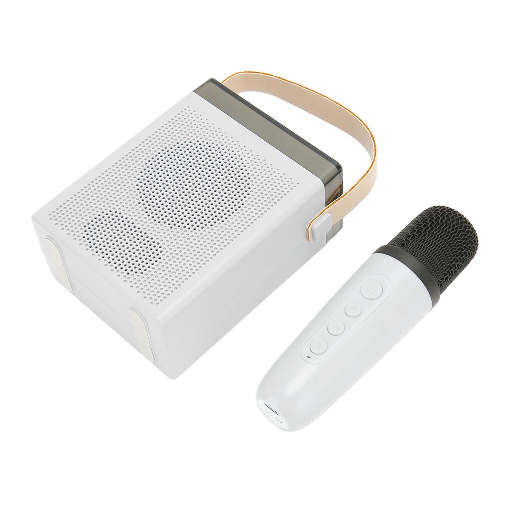 Karaoke Machine Set with RGB Light Rechargeable Bluetooth Speaker with 1 Wireless Microphone for Home Party KTV White