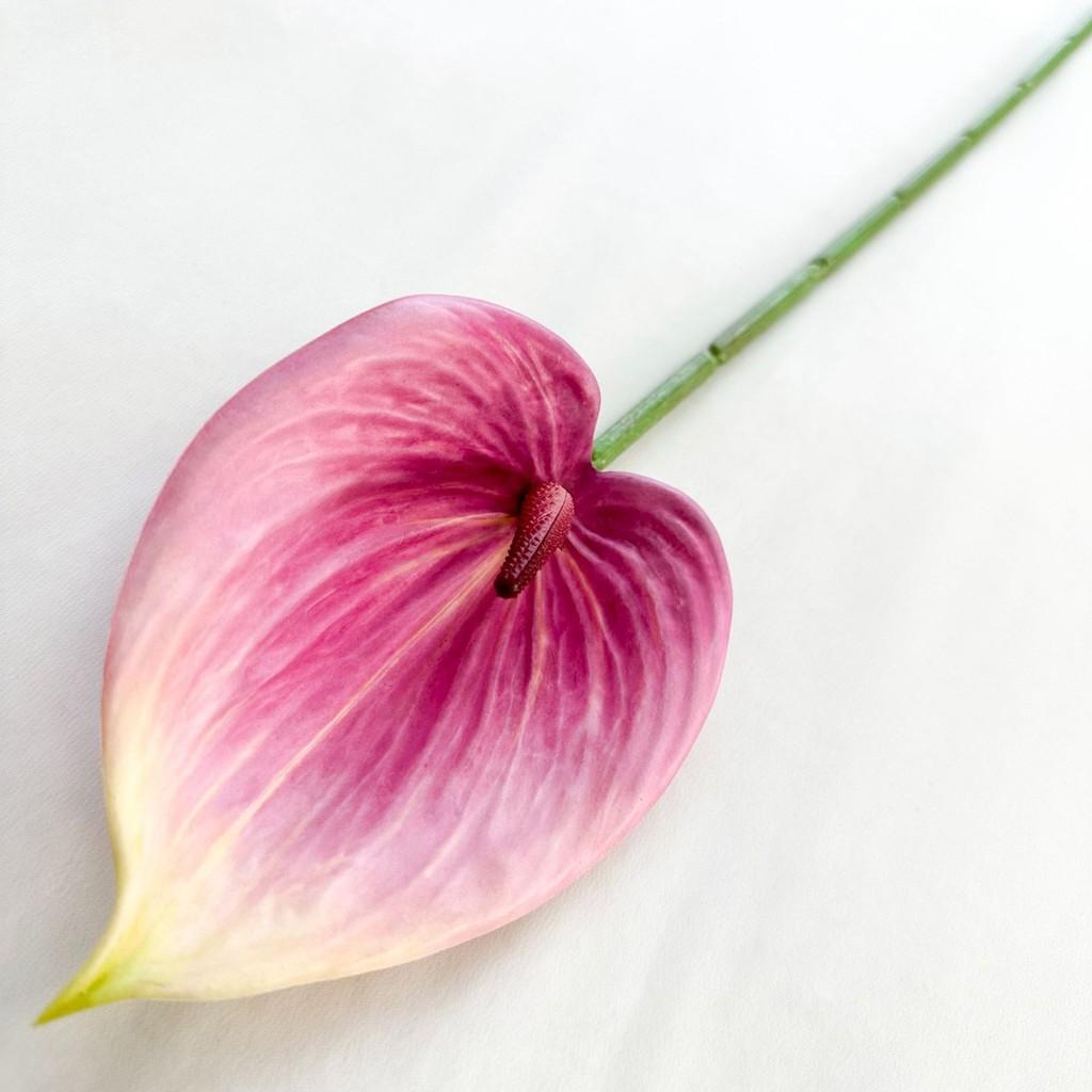 Plants Anthurium Simulated Wedding Hotel Restaurant Decoration Desktop Ornament