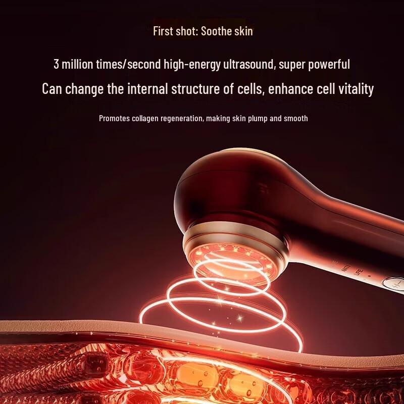 

BoSidin D-1201 Upgraded Ultrasonic Facial Device