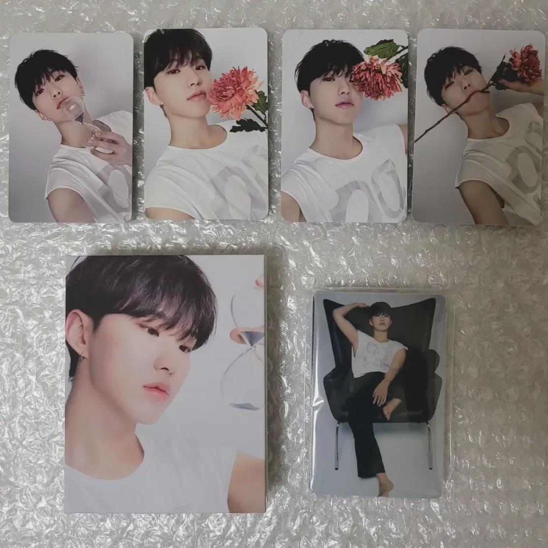 

Seventeen Best Album Maestro Deer Version Hoshi