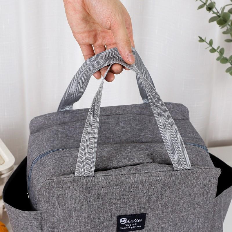Insulated Bento Lunch Bag - Picnic and Outing Tote with Ice Pack