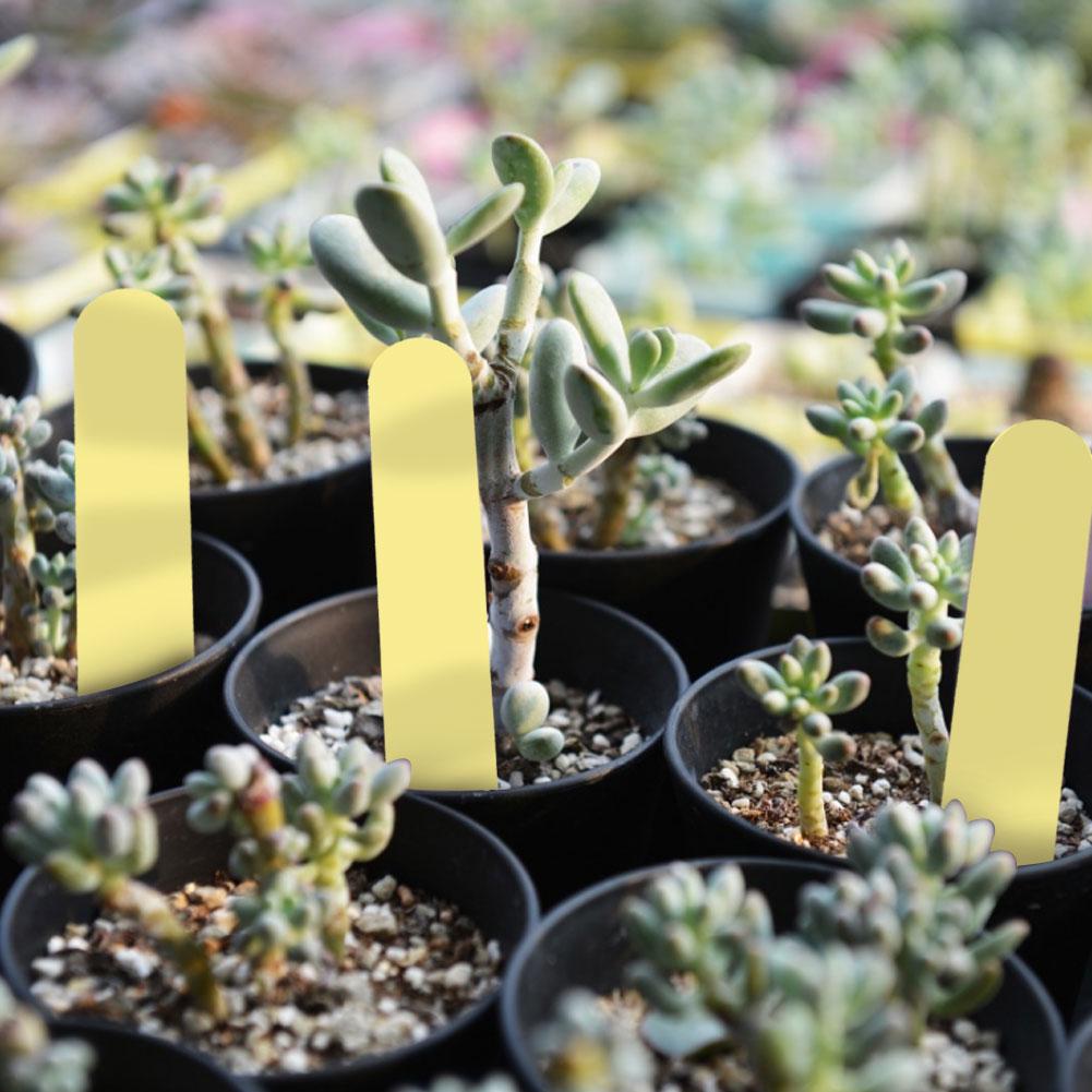100 stk PVC Hage Plantepotemarkører Stikketiketter Gård Planteskole Frøetikett (Gul)