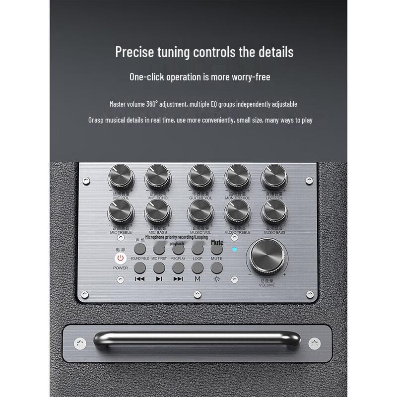 W-King T6S Portable Karaoke Bluetooth Speaker