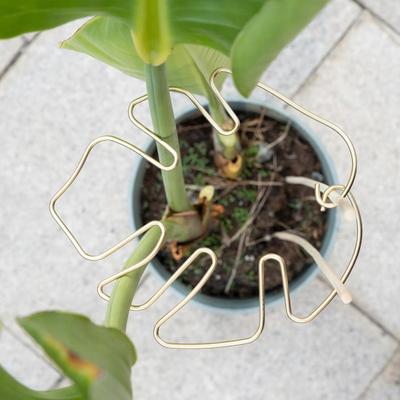 Plant Stem Support Metal Monstera Clamp Plant Support Plant Stem Holder Monstera Stabilizer Grapple Holder for Climbing Plants