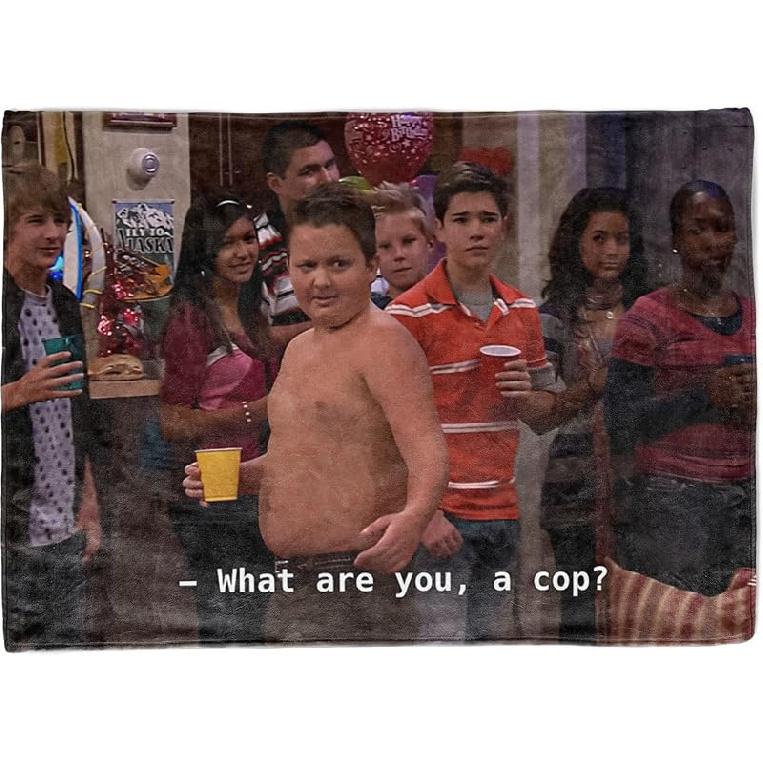 LAIX Gibby What Are You, A Cop? Tapestry, Funny Flag for College Dorm, Available In Sizes From 40 To 90 , Skin-friendly Soft High-definition Meme 40 L x 30 W