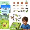 Montessori Kids English Learning Set Animals Life Cycle Toy Set With 5 English Books – Ant, Frog, Butterfly, Mosquito & Bean