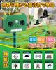 for Lupsty Ultrasonic Cat Cat Stray Cat 2 12m Detection Alarm Solar PIR Infrared Ultrasonic Pest Standby Bird Pest [New 2025] Repellent, Multi-Animal