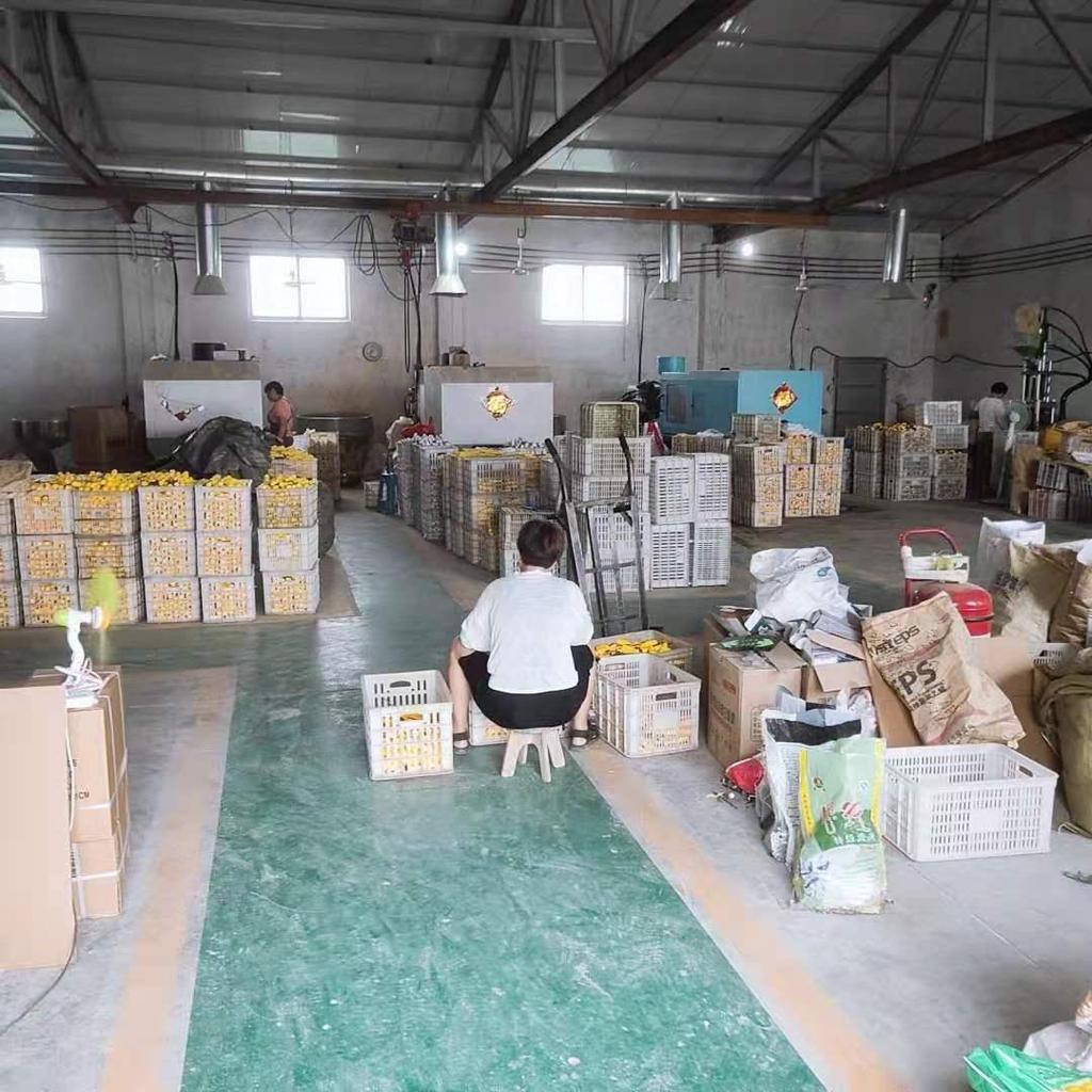 Insulated Magnetic Phillips Flathead Screwdriver - Single-Use