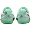 Nike Zoom Rival Waffle 6 Barely Green Green Glow Mint Foam Metallic Silver Sneakers casual DX7998-300