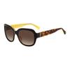 Temple Lettering Acetate Oval Sunglasses Women's Brown LAYNE-S-HJVF5HA