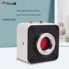Instrumentos óticos – Microscópios digitais