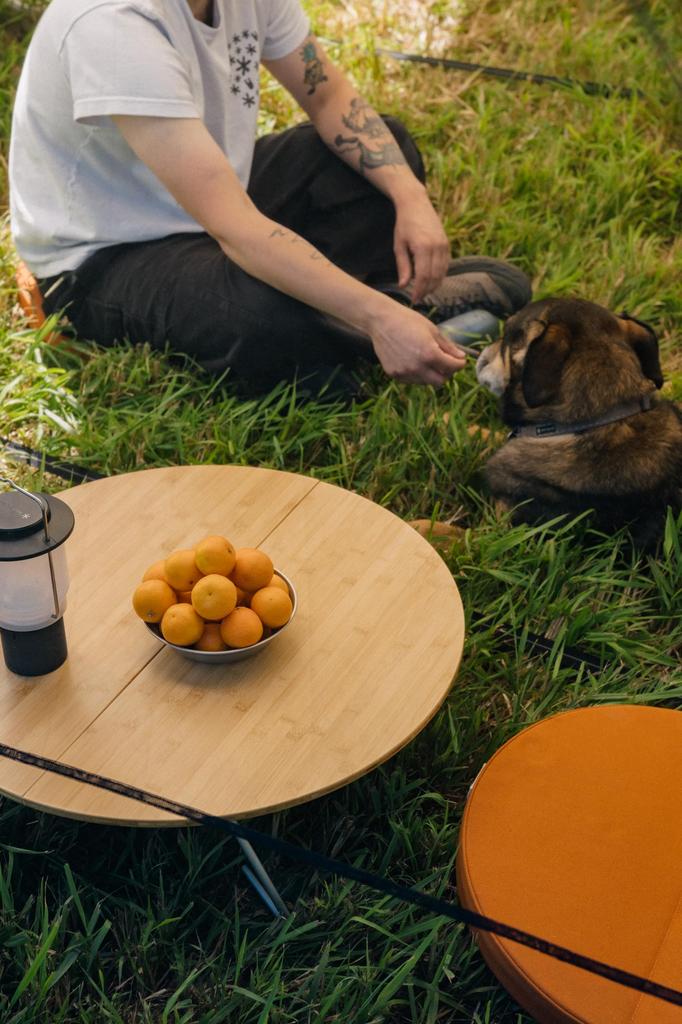 Snow Peak Loungepute, Grønn, TM-096GR