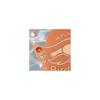 Bird Bath Purification Disc Copper Bird Bath Cleaner Disc Decorative Water Purification Disc Universal Fit for Outdoor Birdbaths