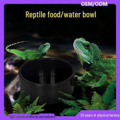Reptile Feeding Box with Water Basin and Food Bowl for Small Pets Like Hamsters, Geckos, Lizards, Insects, and Horned Frogs.