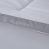PLAYBOY All-Season Antibacterial Down Velvet Quilt