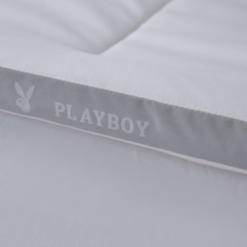 PLAYBOY All-Season Antibacterial Down Velvet Quilt