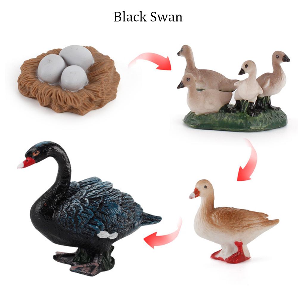 Simulation Animals Growth Cycle Butterfly Ladybug Chicken Dragonfly Frog Life Cycle Figurine Model Early Education Kids Toy