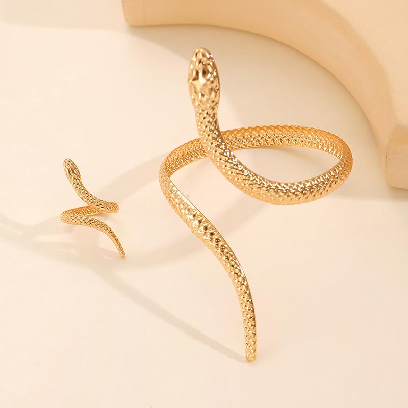 1Pcs/Set Vintage Snake Shaped Bracelets For Women Men Exquisite Punk Ring Personalized Earrings Party Jewelry Accessories Gifts