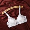 Sexy Lace Steel Ring Bras for Women Female Lingerie Push Up Brassiere Women Underwire Underwear