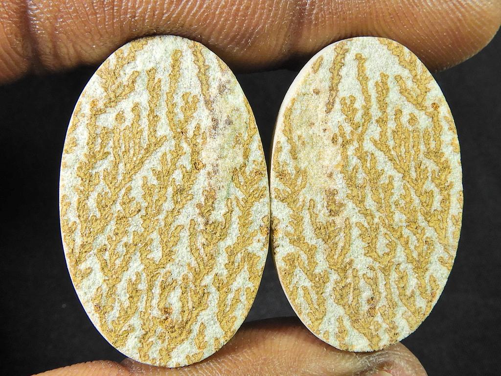 Natural Psilomelane Germane Dendrite pair Earring Making Stone 19X31X05 MM SK-784