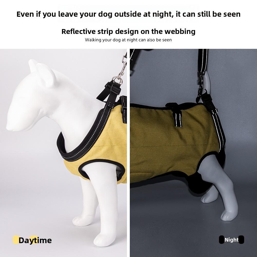 Tiergestützte Rehabilitationsübung für behinderte Hunde. Verstellbare Hundeleinen für Brust und Rücken des Hundes