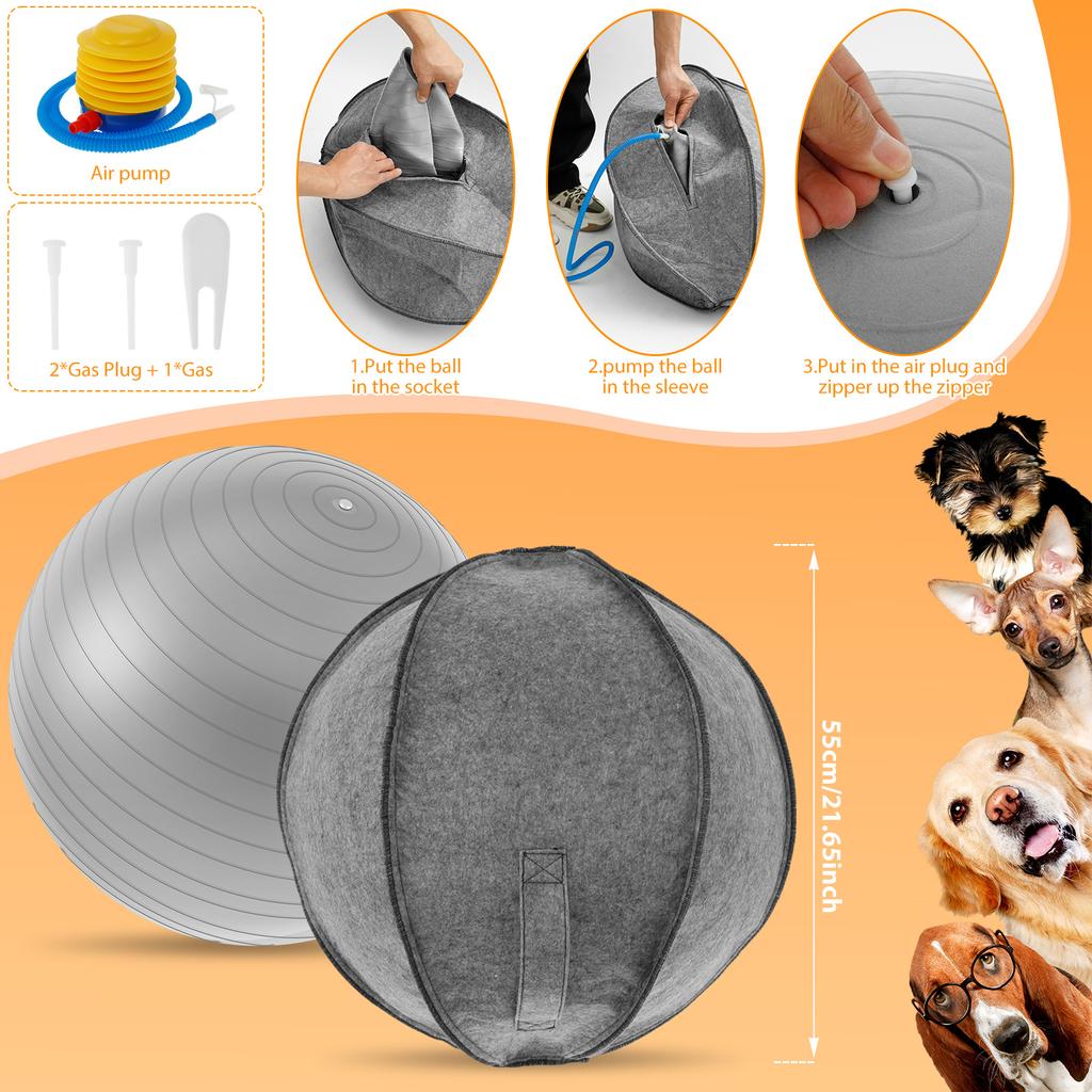 Pet Big Inflatable Ball Dog Training Toy with Air Pump Interactive Games Outdoor Portable Collie Dog Toy Ball