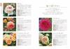 Enjoying Potted Pruning and Cultivation Methods Roses Easy-to-Understand